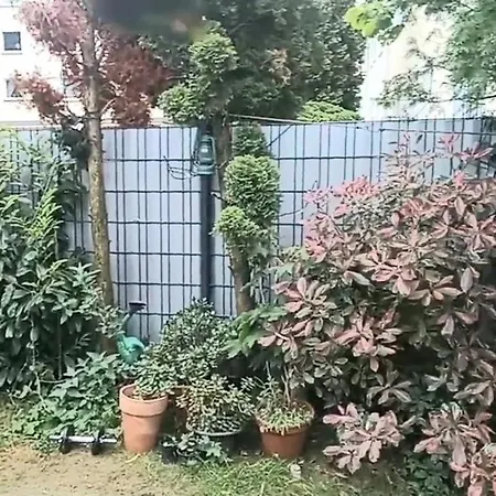 Private Bungalow Garden Cologne